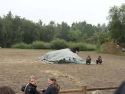 IMG_1465_web